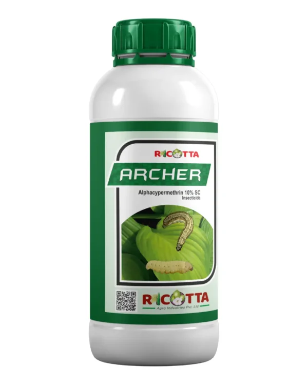 Archer