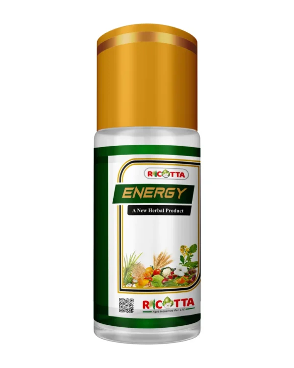 Energy